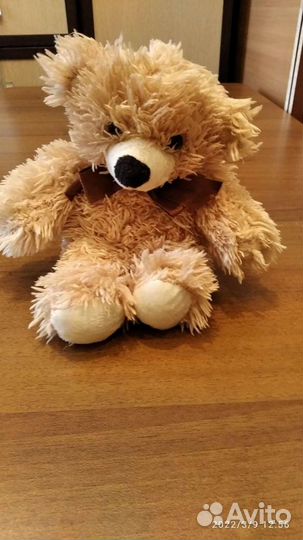 Плюшевый медведь