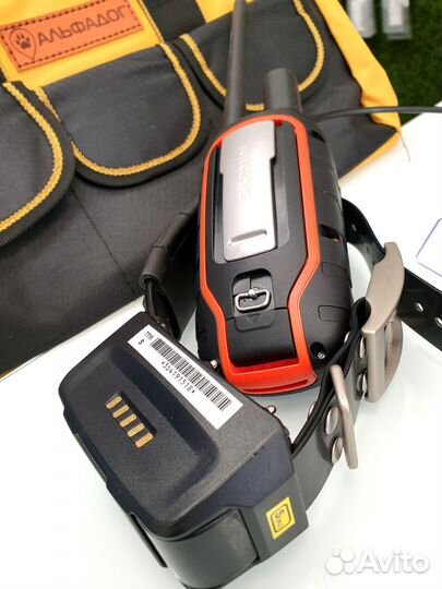 Garmin Alpha 100+TT15 S