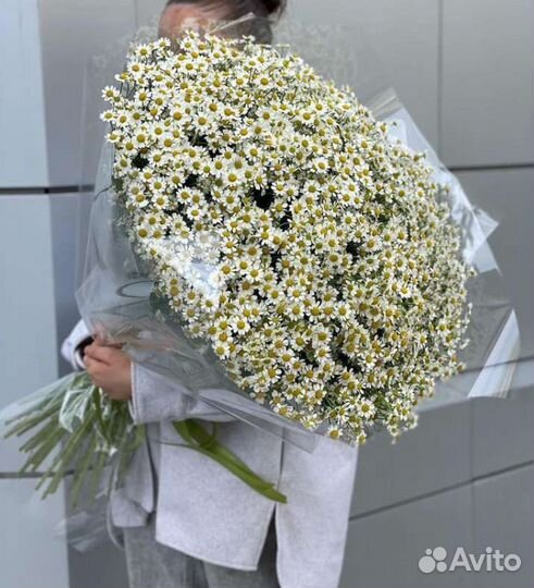 Букет ромашки длинные 51шт с доставкой Казань