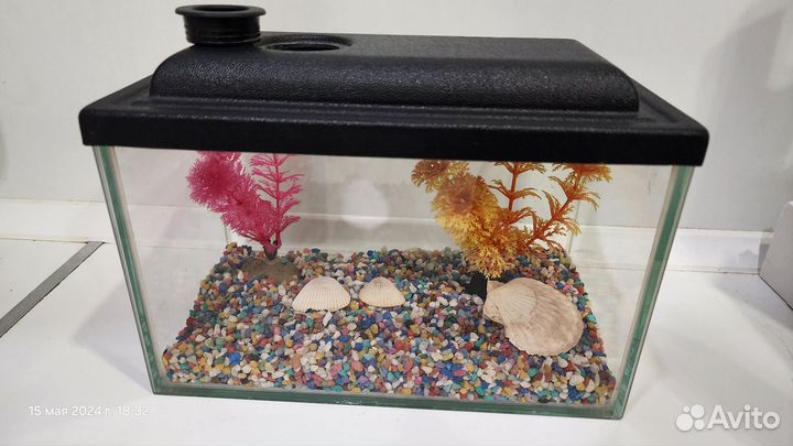 Аквариум