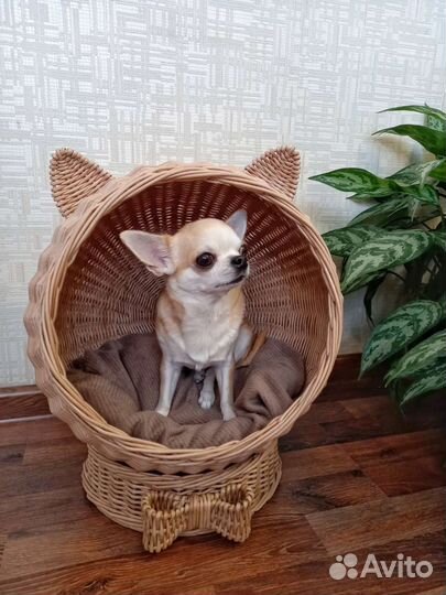 Лежанка для животных