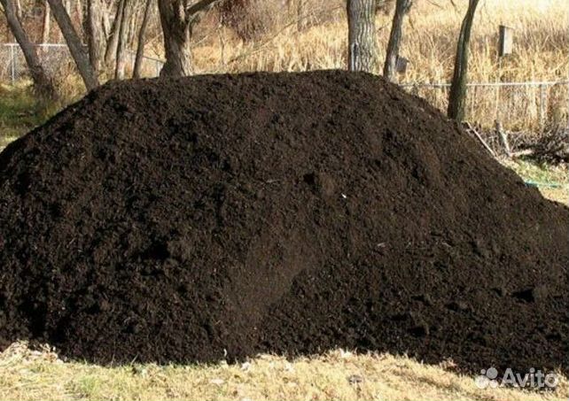 Чернозем грунт