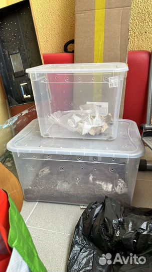 Террариум для рептилий бу