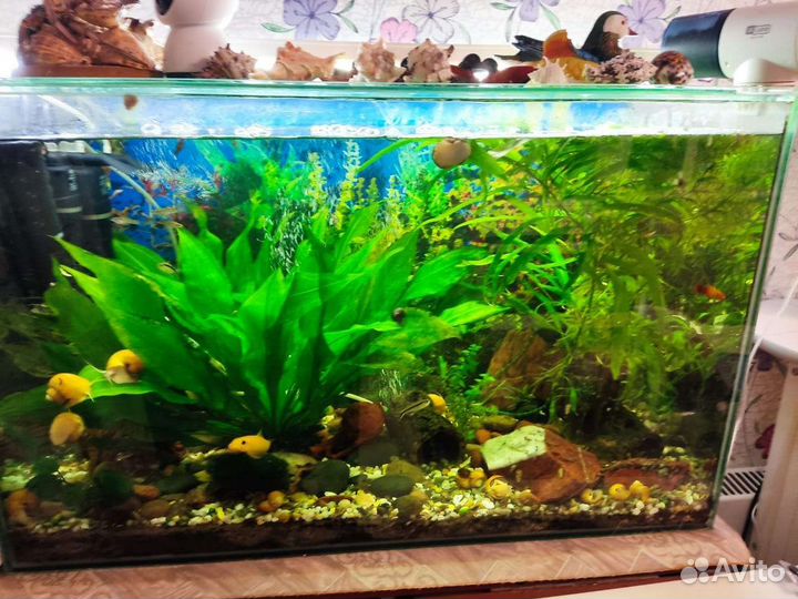 Аквариум 140 л