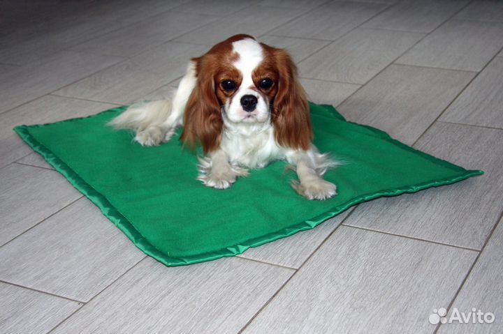 Коврик для животных