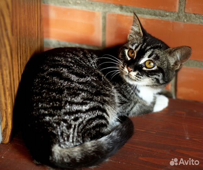 Девочка Лея ищет маму