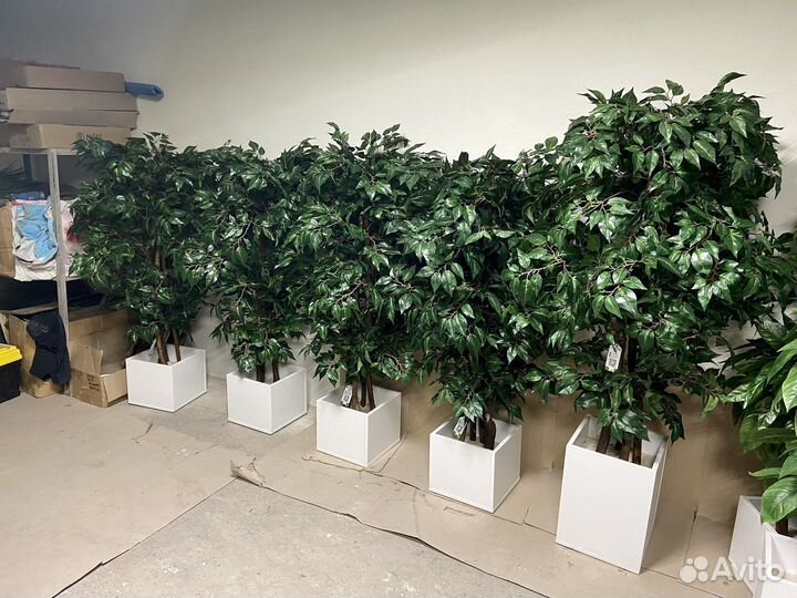 Искусственные деревья для бизнеса / озеленение