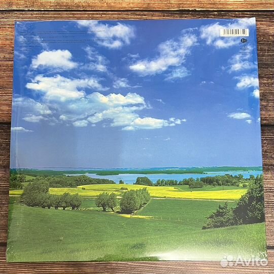 David Bowie - Earthling LP