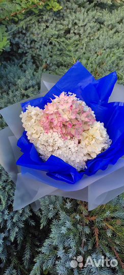 Праздничный букет (Гортензия метельчатая)
