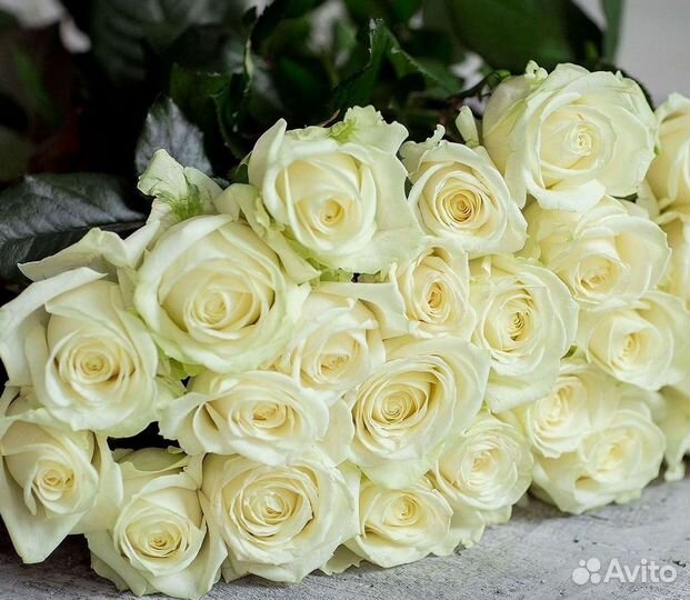 Высокие Высокие розы Гигантские розы Букеты Достав