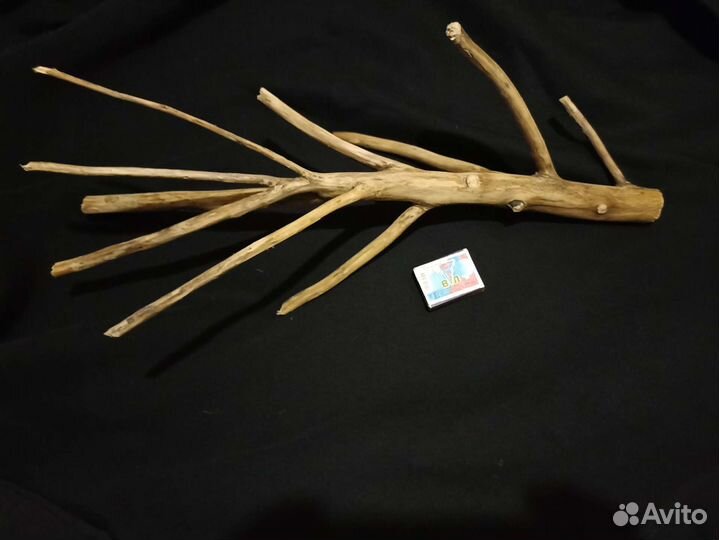 Коряги для аквариума яблоня