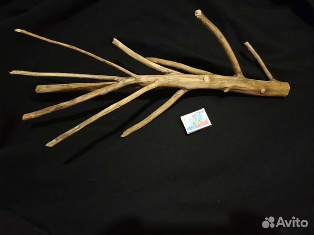 Коряги для аквариума яблоня