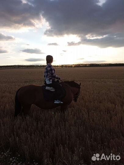 Прокат на лошадях