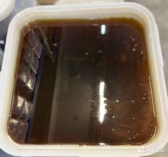 Гречишный мёд. Качка 2023 г. Оптом