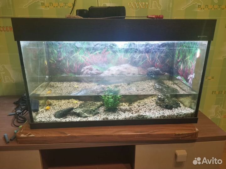 Аквариум