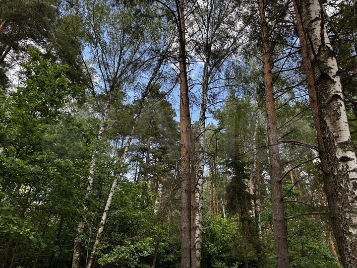 Участок 5,8 сот. (ИЖС)