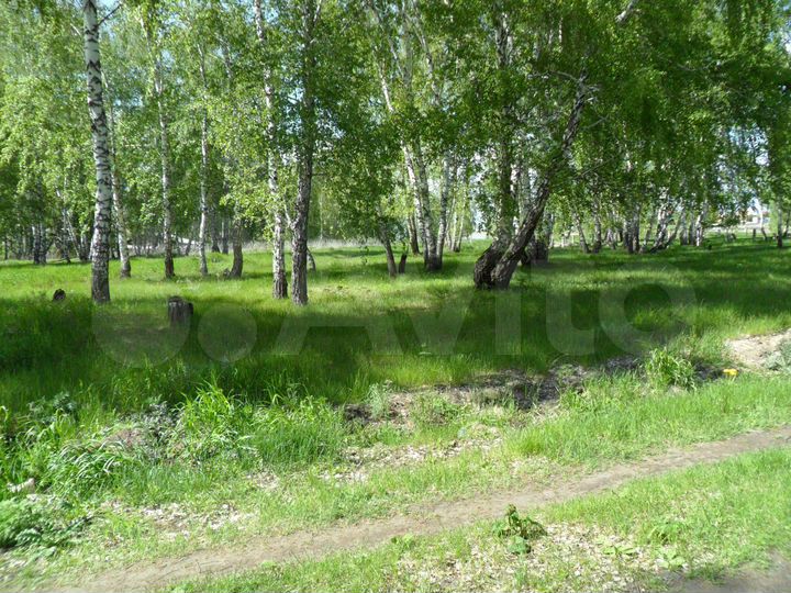 Участок 10 сот. (СНТ, ДНП)