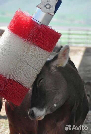 Автоматическая щётка-чесалка для крс