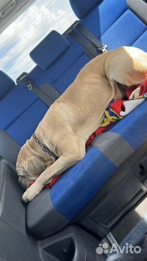 Транспортные услуги перевозки