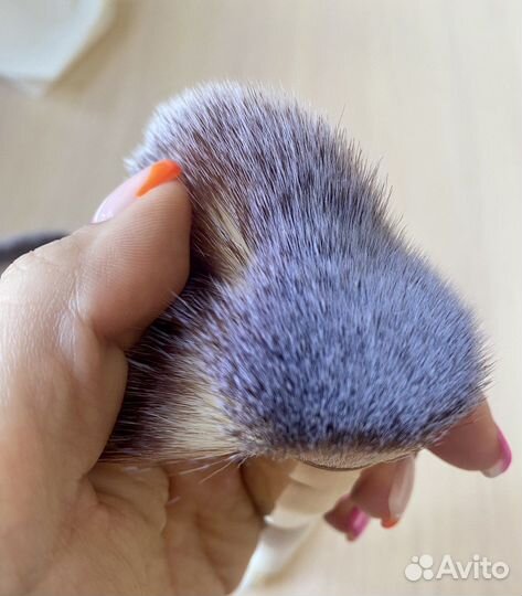 Кисти для макияжа