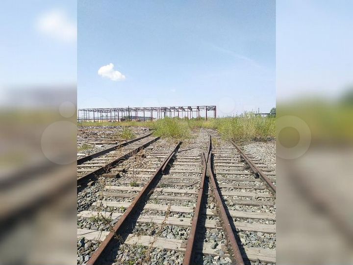 Участок 5,47 га (ИЖС)