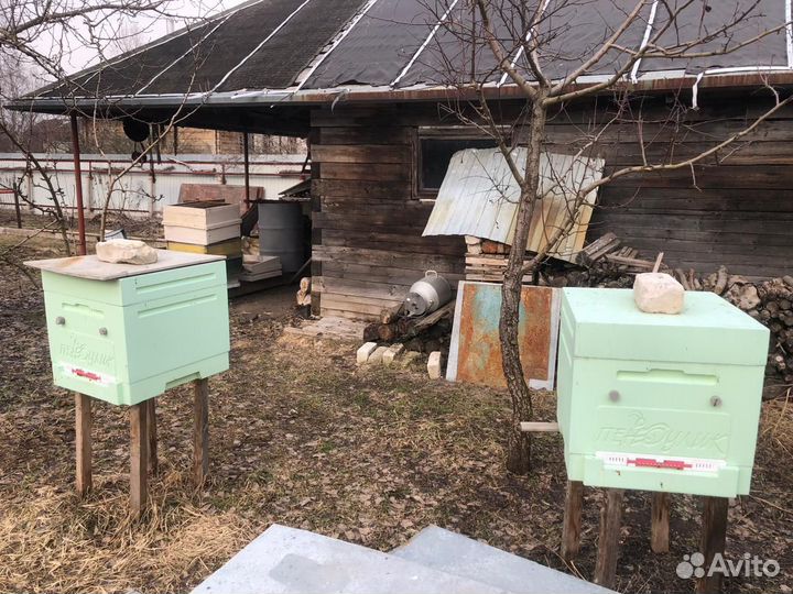 Ульи с пчёлами