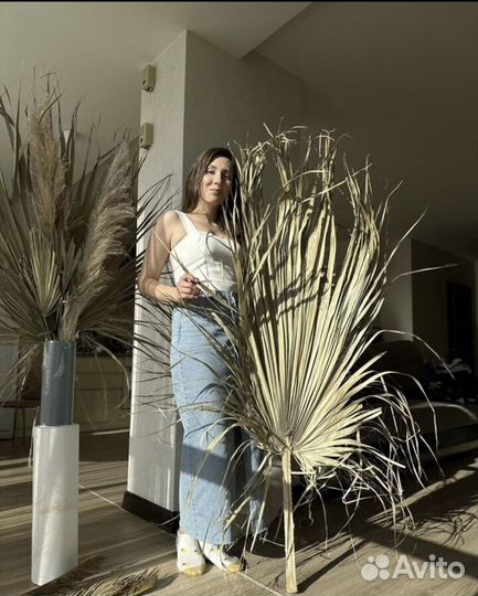 Листья пальмы