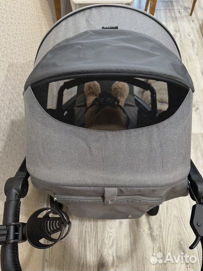 Прогулочная коляска espiro sonic air