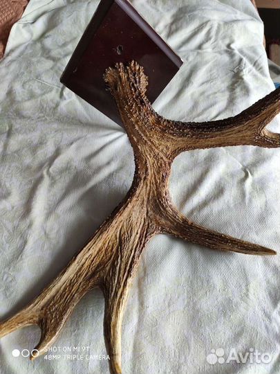 Вешалка аксессуар Рога лося