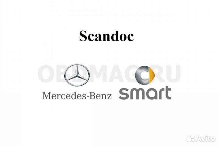 Программный модуль Mercedes, smart для Scandoc