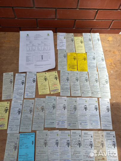 Пчеломатка карника