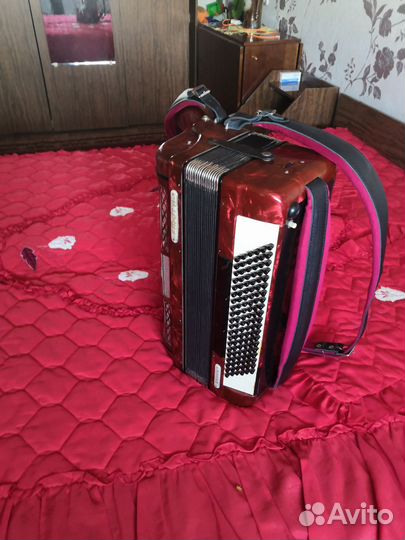 Баян weltmeister