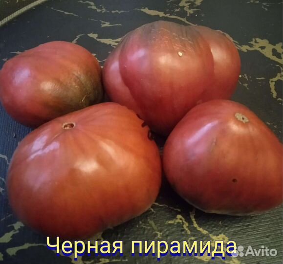 Томаты коллекционные, семена