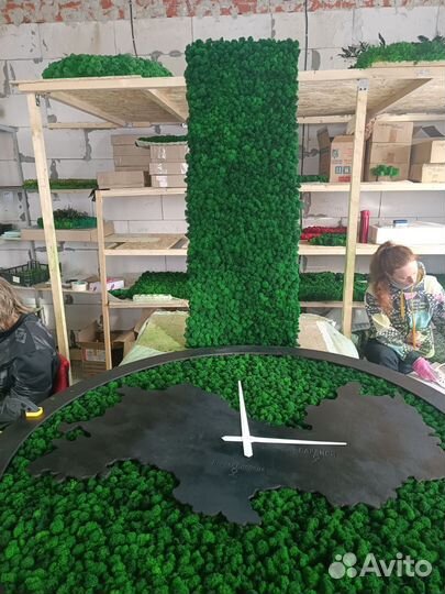 Мох стабилизированный оптом и в розницу