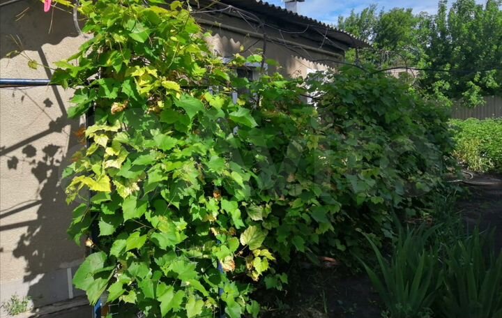 Дом 60 м² на участке 4 сот.