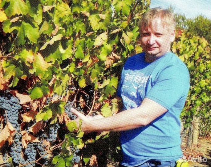 Менеджер, представитель, руководитель направления