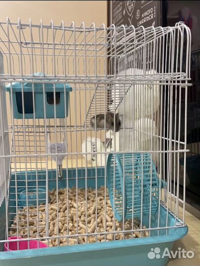 Клетка для грызунов новая
