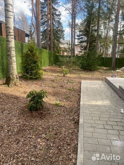 Зеленый забор/изгородь