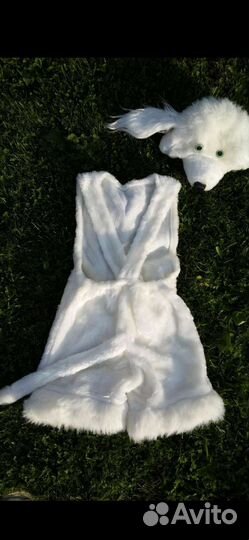 Детский белый костюм собачки