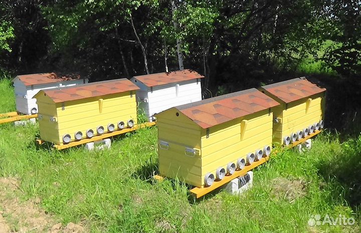 Пасека под ключ на Владимирских ульях-лежаках
