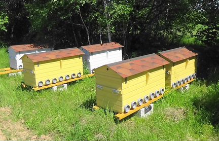 Пасека под ключ на Владимирских ульях-лежаках