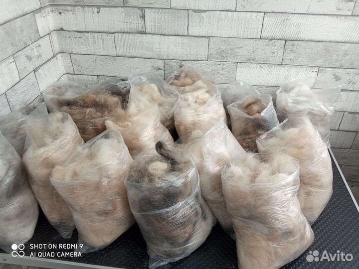 Собачья шерсть пух