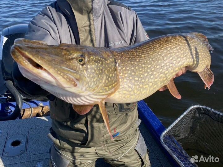 Рыбалка с гидом профессионалом