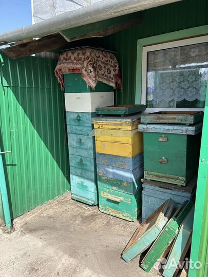 Ульи дадан 12 рамочные