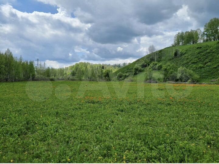 Участок 1201,22 га (СНТ, ДНП)