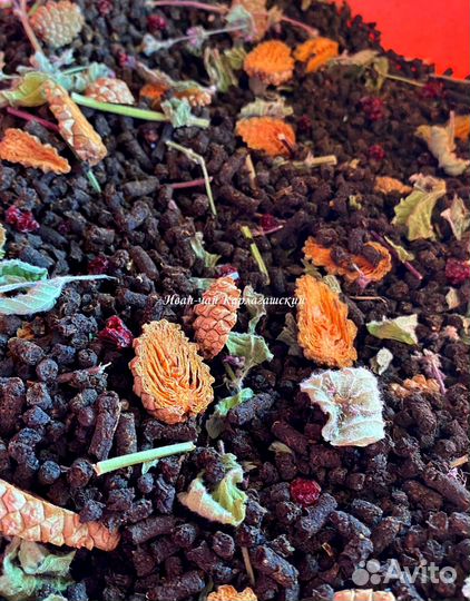 Иван-чай листовой и гранулированный от заготовител