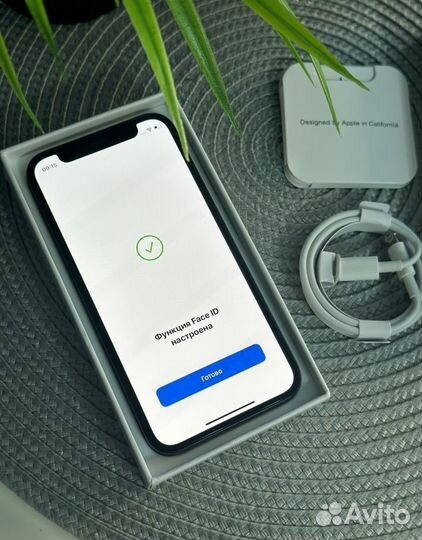 iPhone 12 mini, 256 ГБ