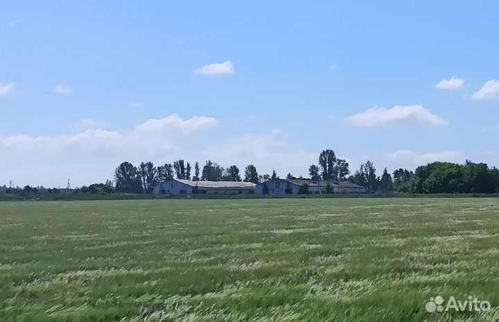 Животноводческая ферма