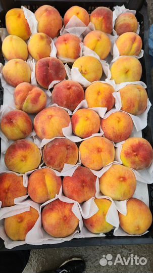 Овощи и фрукты