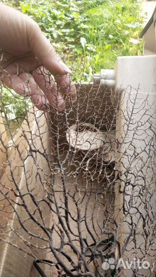 Сэт для аквариума